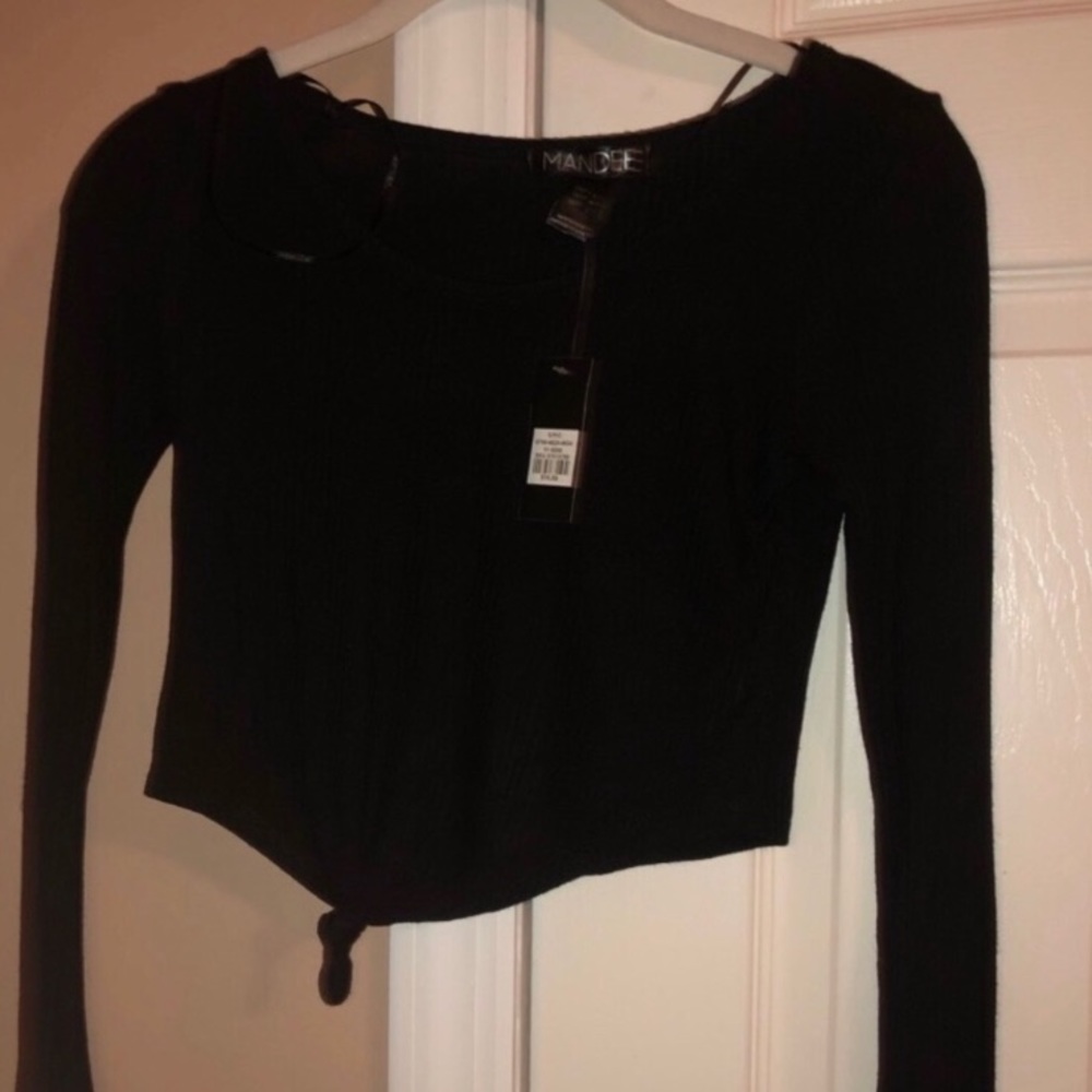 Brand New Long Sleeve Crop Top